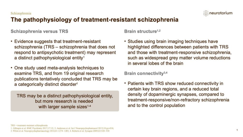 Schizophrenia - Neurobiology and Aetiology - slide 33